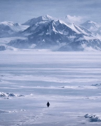 El pingüino que se aleja solo hacia la montaña